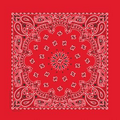Standard Imported Red Paisley Bandanna